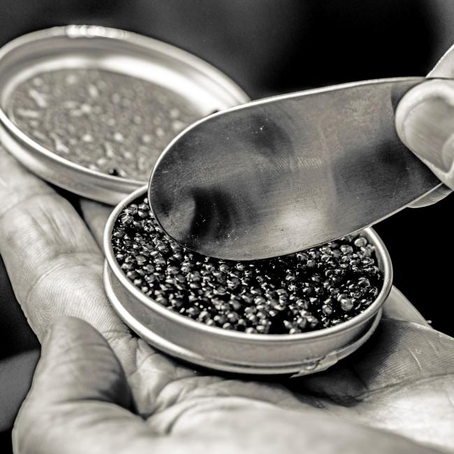 Carelian Caviar | Carelian Caviar